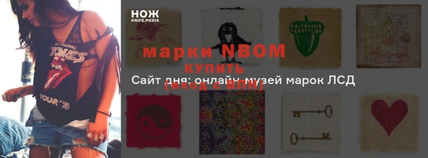 мдпв Саяногорск
