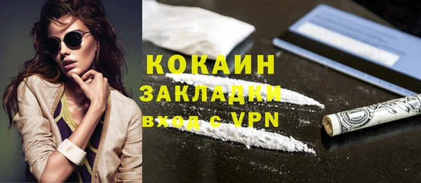 шишки Белоозёрский