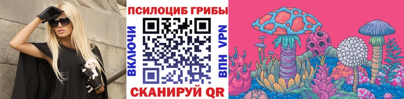 Галлюциногенные грибы Psilocybine cubensis  Ленск 